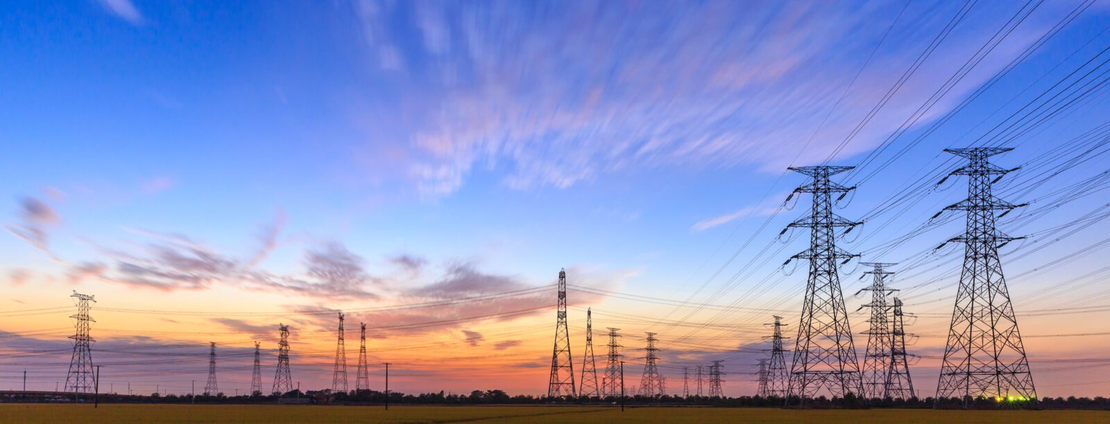 OSI Names Utility Division Director